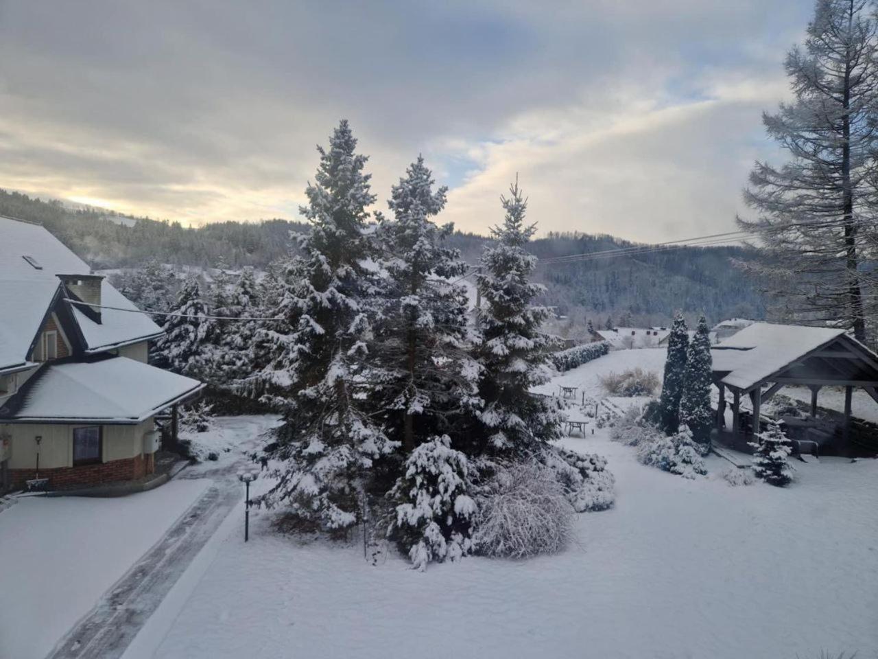 Beskid Ski Villa Wisła Εξωτερικό φωτογραφία