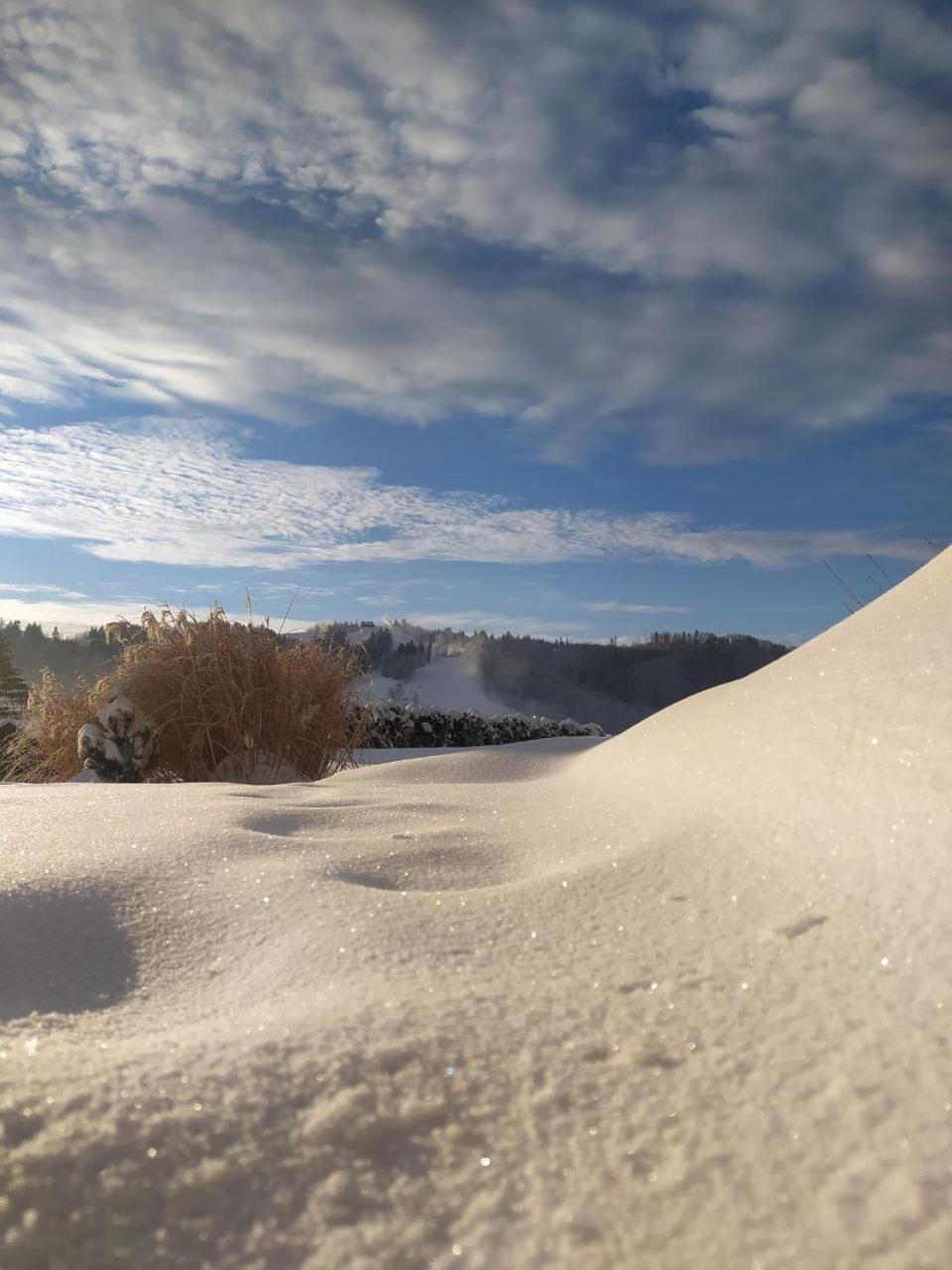Beskid Ski Villa Wisła Εξωτερικό φωτογραφία